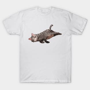 Lazy tabby cat - gift for cat lovers T-Shirt